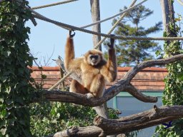 Tiergarten Schönbrunn am 05.03.2026